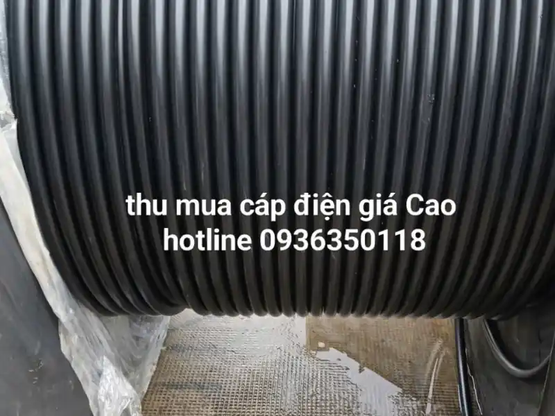 Hình ảnh thu mua thực tế 3